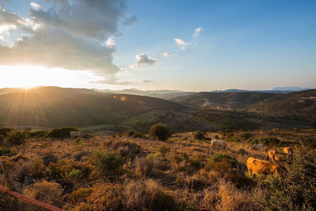 Agriturismo Irghitula Posada  Dış mekan fotoğraf